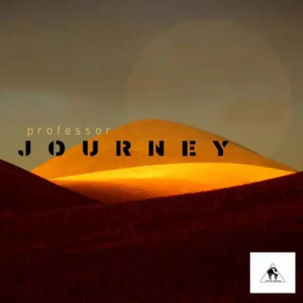 Professor - Silk Road